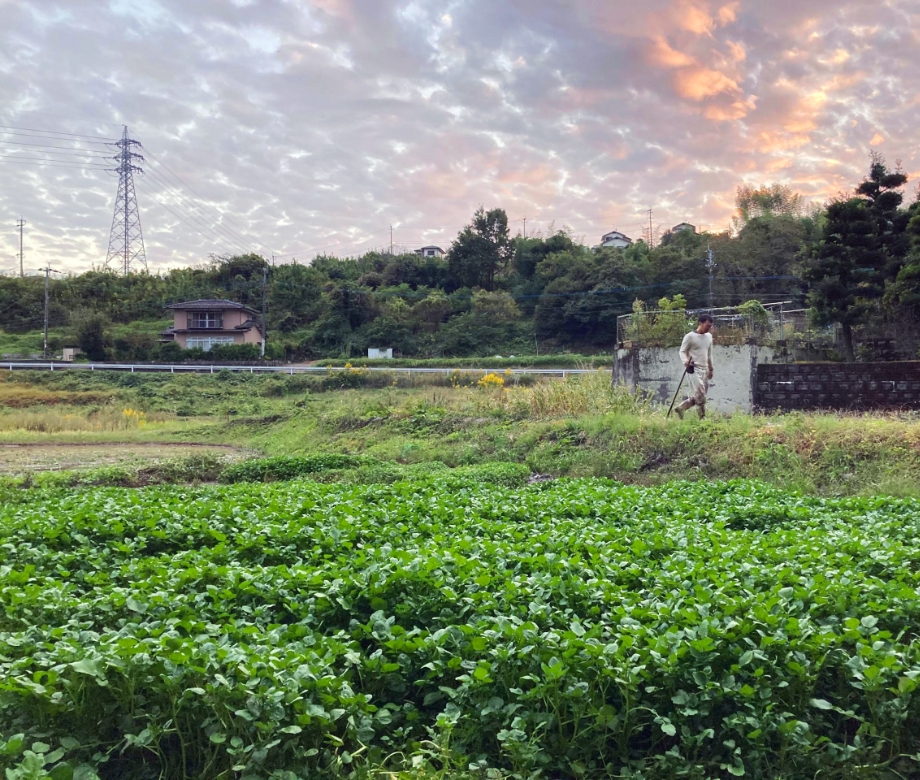 熊本市街地近くに今も残る田舎の田園風景